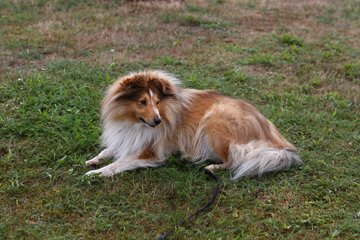 Bild 481 - 13.HSP - 2010